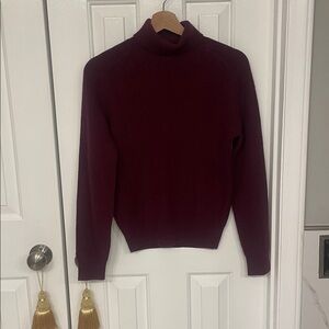 Ann Taylor Rich Maroon Turtleneck Sweater